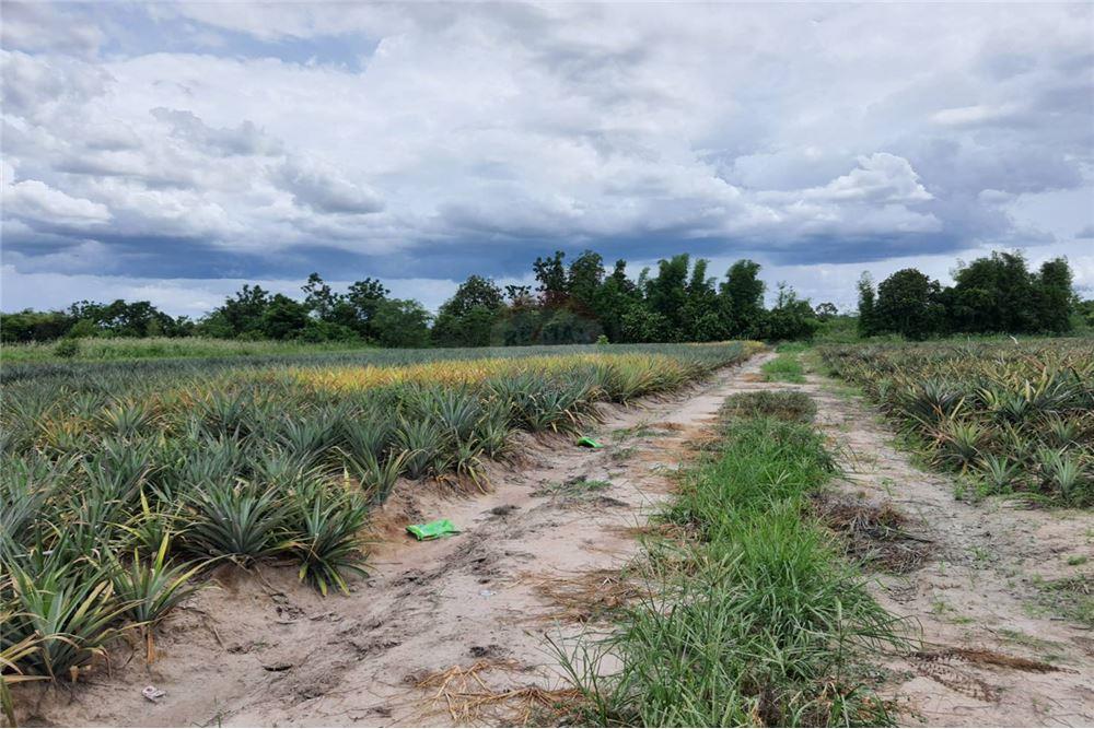 for sale in Phetchaburi for rent land
